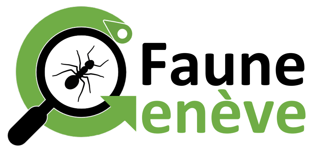 Faune Genève