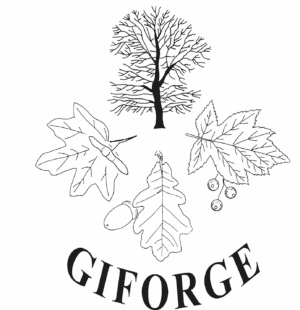 GIFORGE