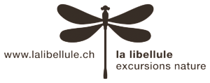 Association La Libellule